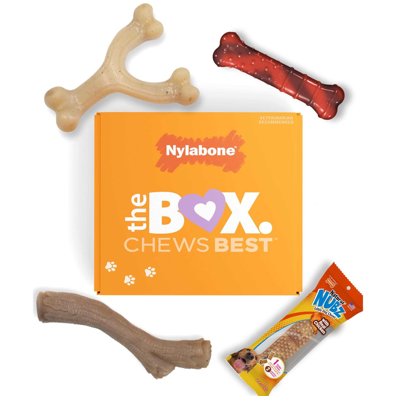 Nylabone The Box Chew Toy & Treat Gift Box Dogs - Healthber