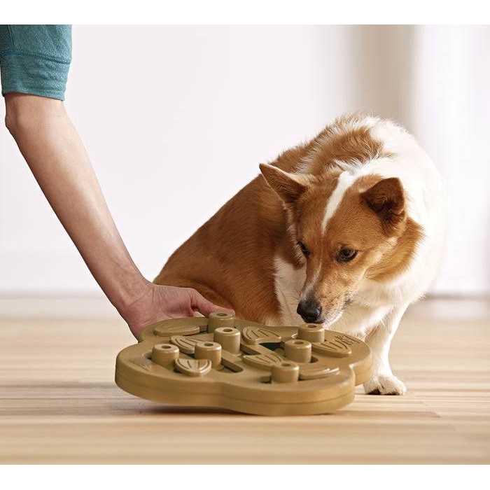 Outward Hound Hide N Slide Puzzle Dog Toy - Healthber