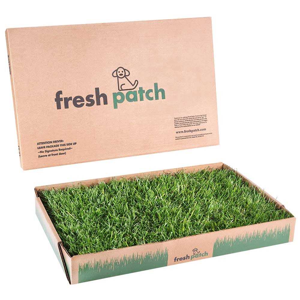 Fresh Patch Large Real Grass Pee and Potty Training Pad for Dogs between 15 and 30 pounds - Healthber