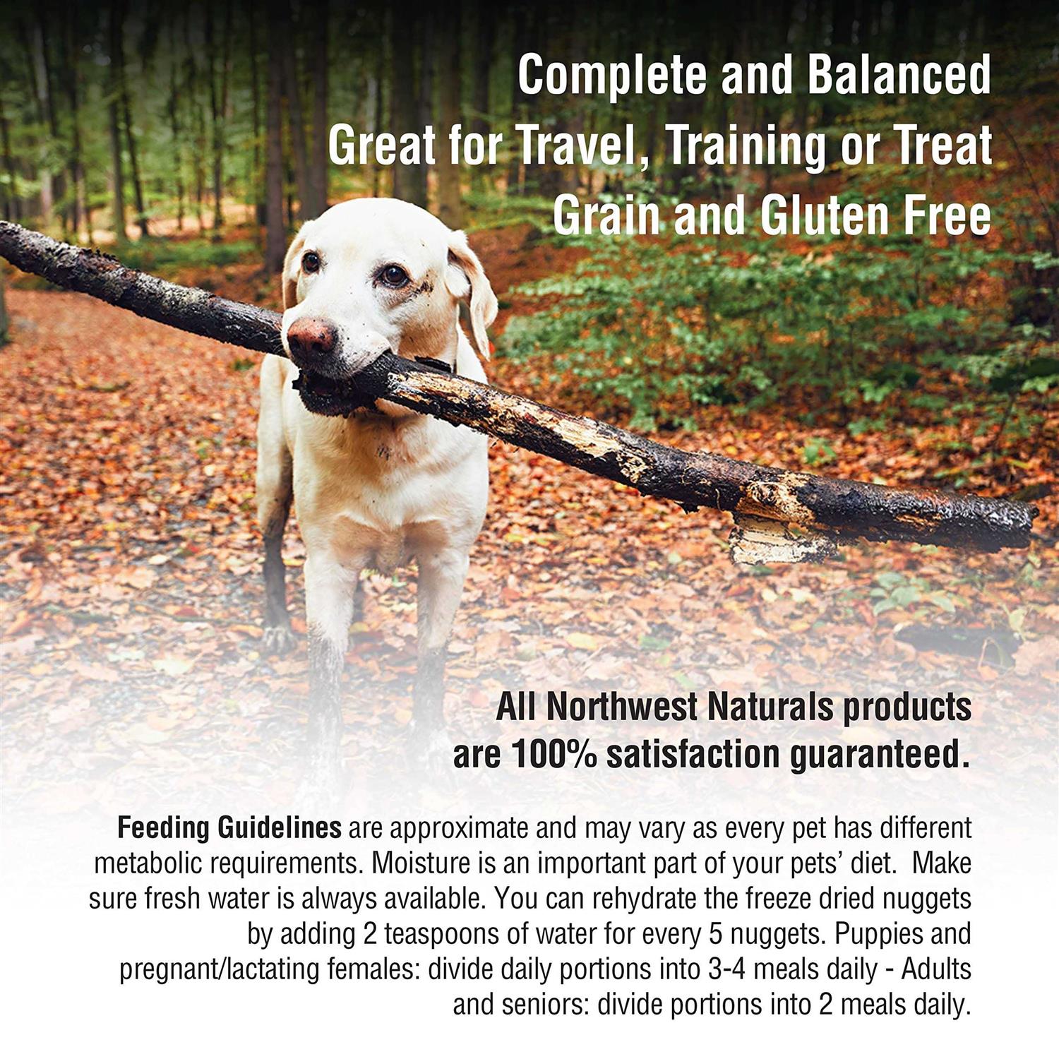 Northwest Naturals Freeze-Dried Nuggets Raw Dog Food - Healthber