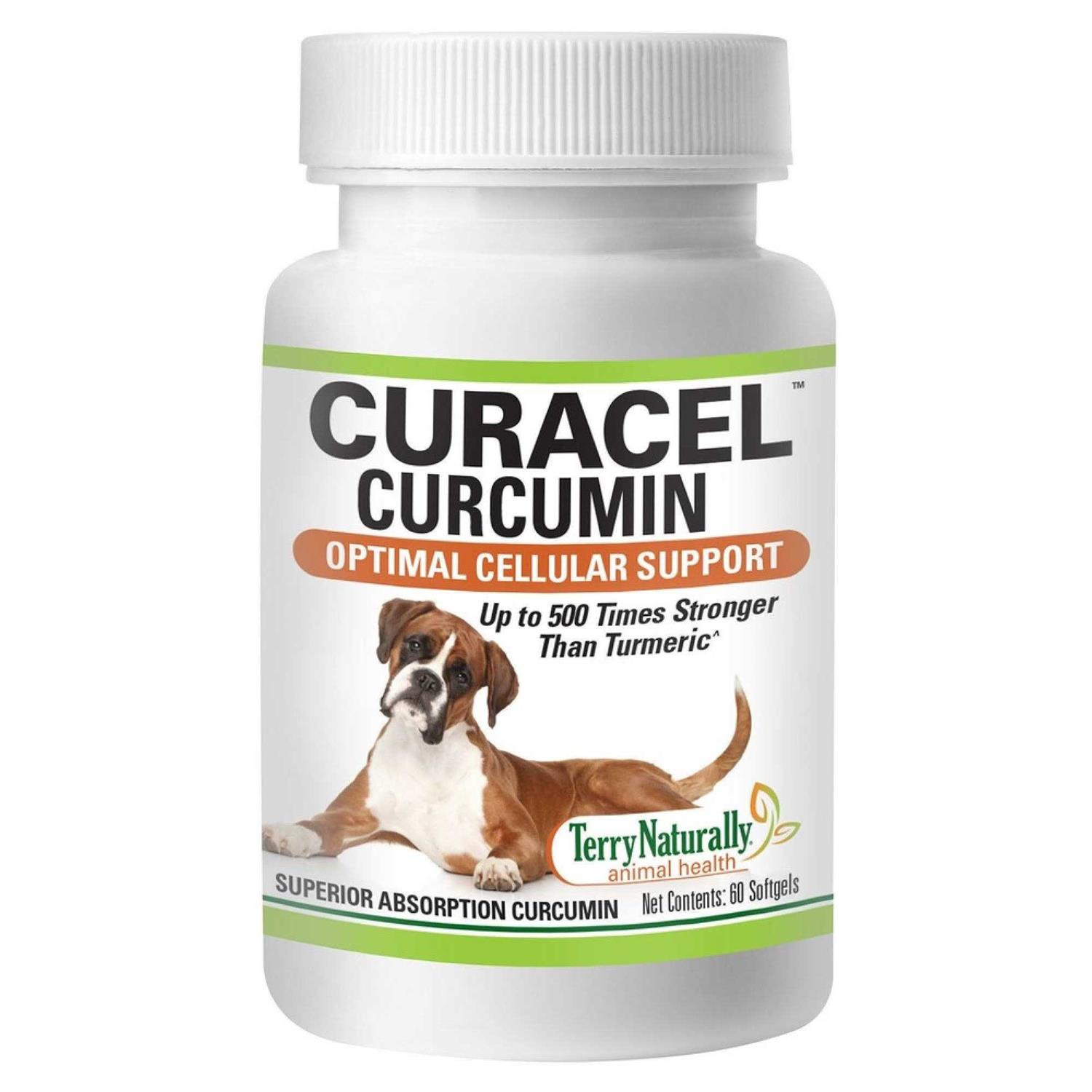 Terry Naturally Curacel Curcumin - Healthber