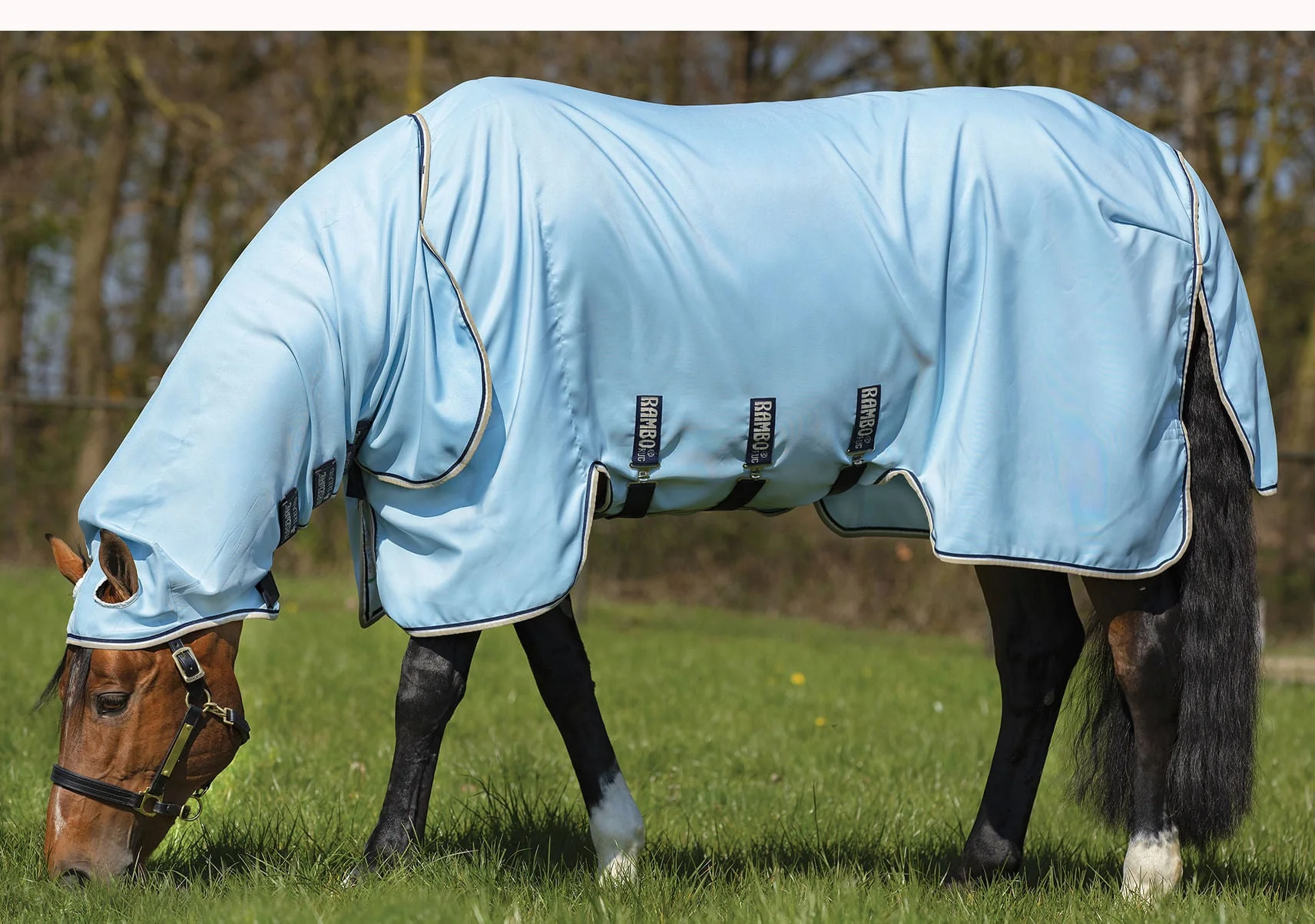 Rambo Hoody Vamoose with No-Fly Zone Horse Fly Sheet - Healthber