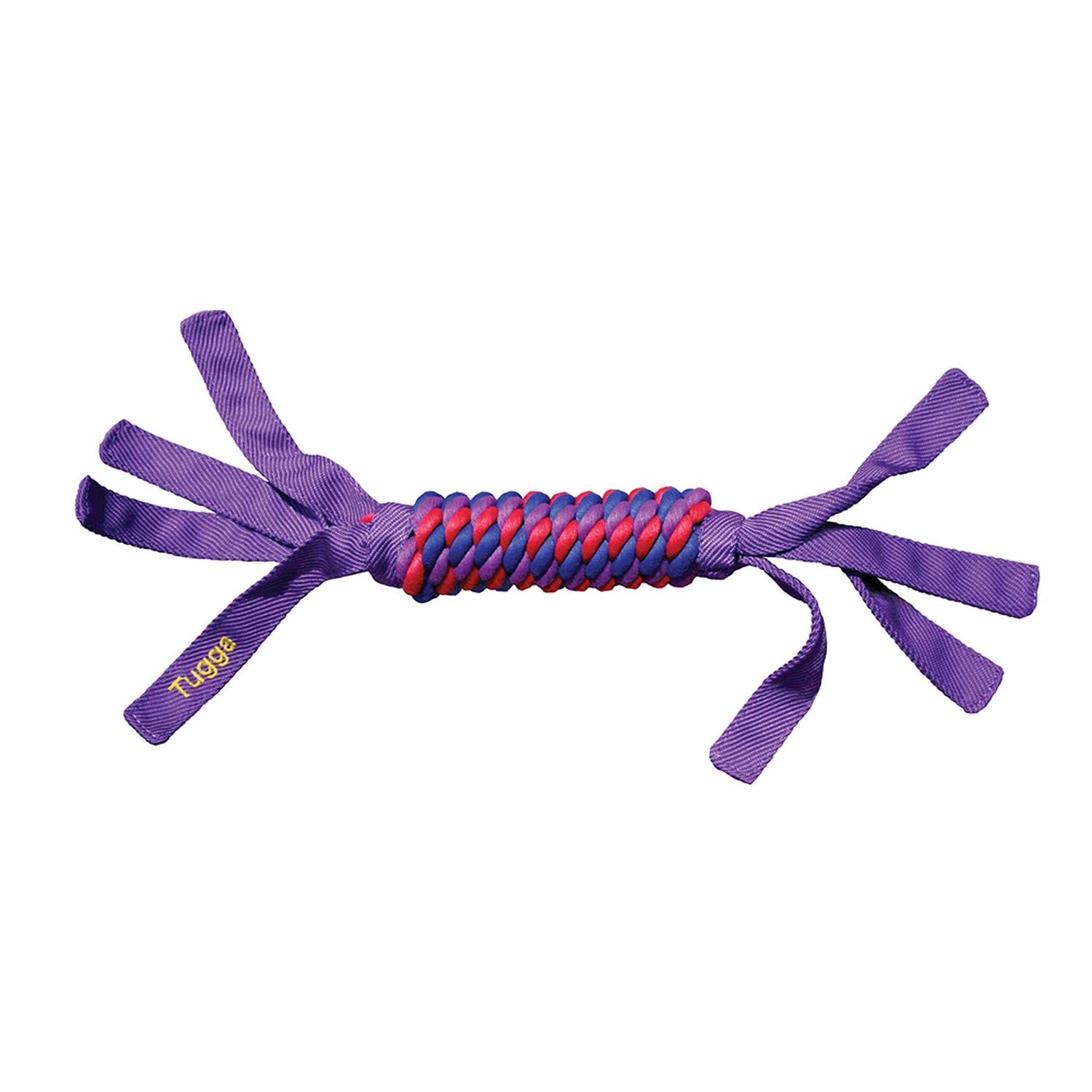 KONG Tugga Wubba Dog Toy - Healthber
