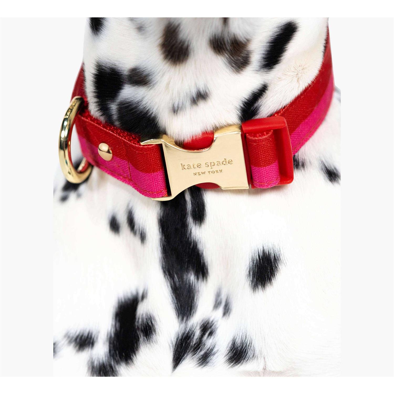 Kate Spade New York Red/Pink Colorblock Dog Collar - Healthber