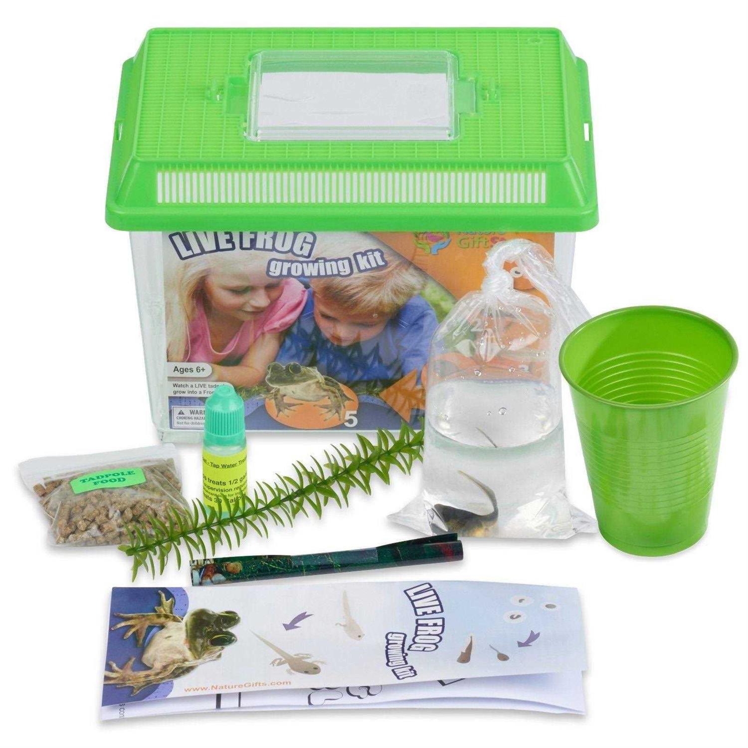 Frog Growing Kit 1-Gallon Habitat with 1 Free Tadpole - Healthber