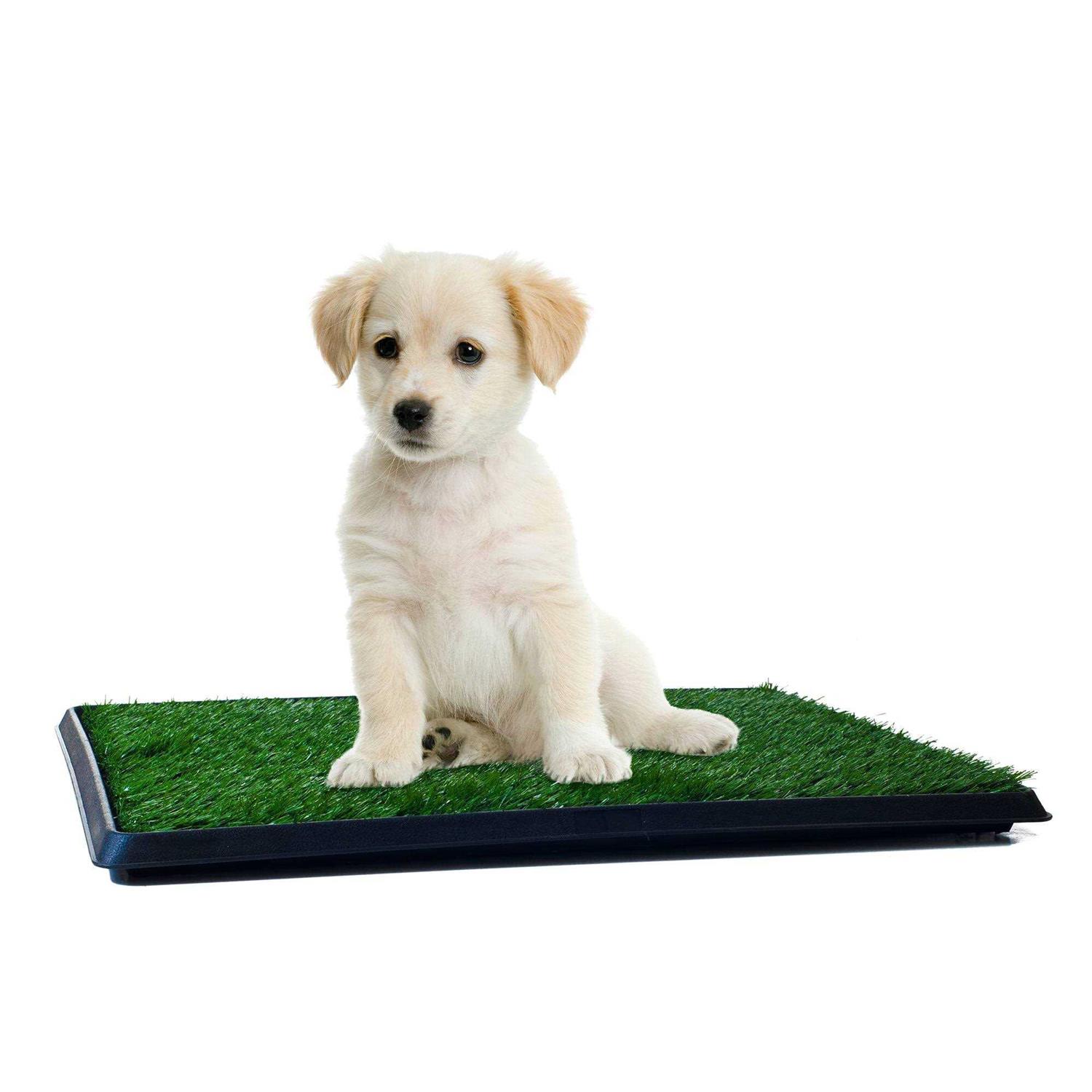 Puppy Pets Petmaker - Healthber