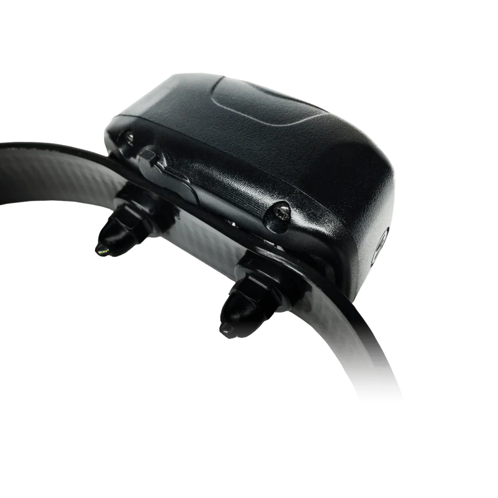 D.O.G DIrector 700, Add-On Collar - Healthber
