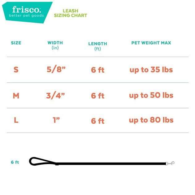 Frisco Ombre Style Dog Leash - Healthber