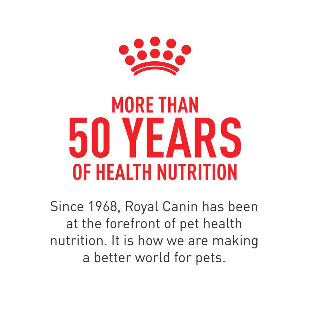 Royal Canin Feline Health Nutrition Indoor Light 40 Cat Dry Food - Healthber