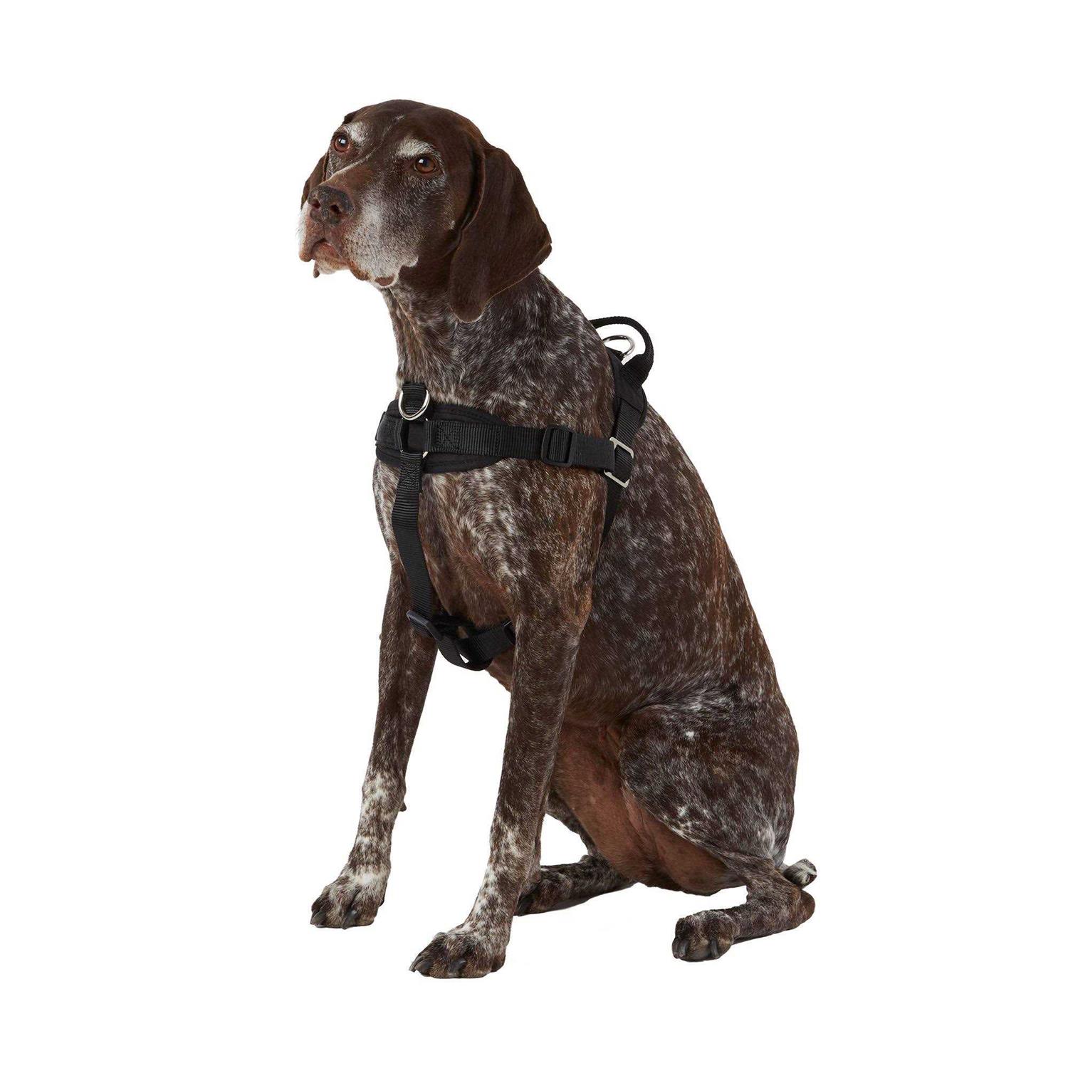 Top Paw No Pull Dog Harness - Healthber