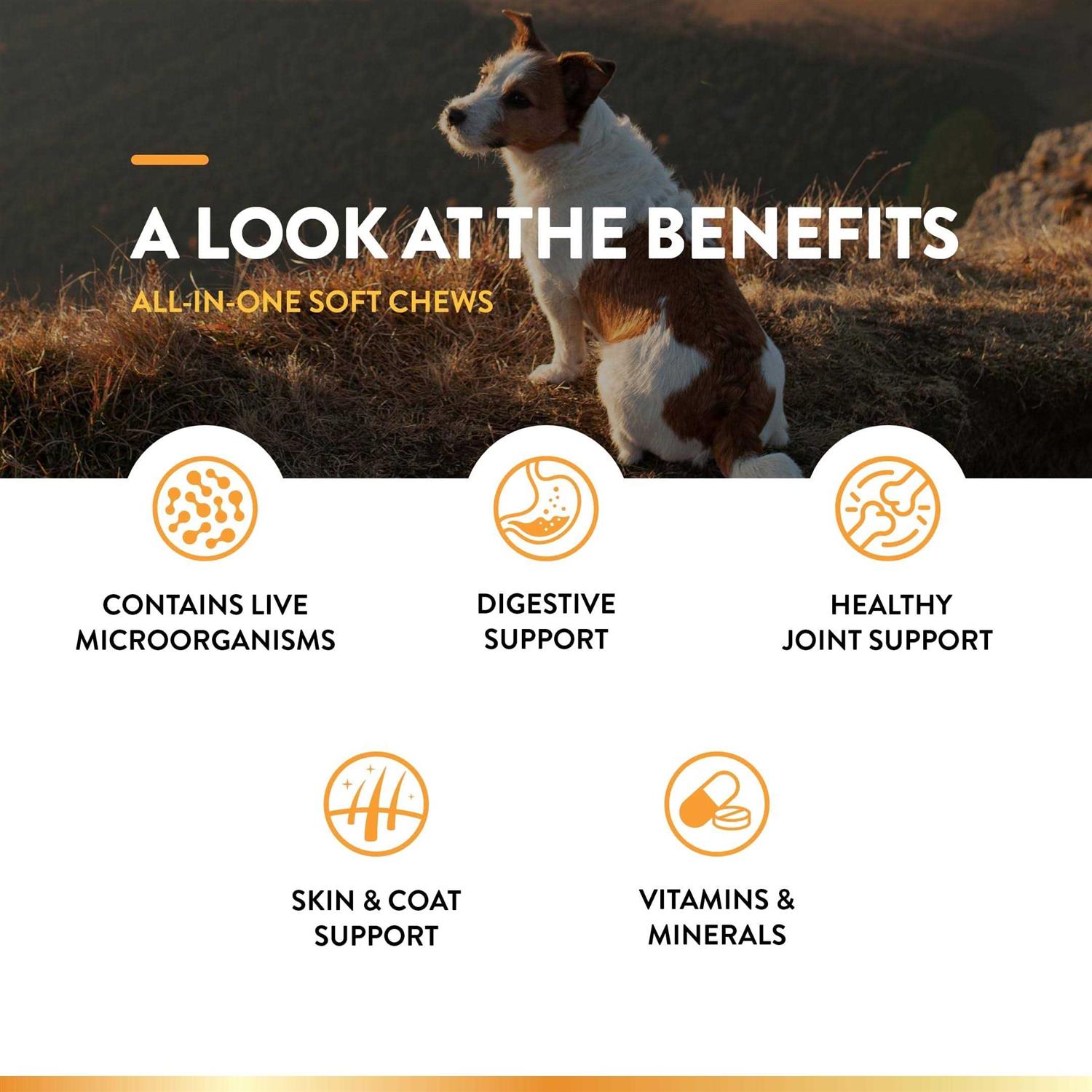 NaturVet All-in-One Dog Supplement for Joint Support Digestion - Healthber