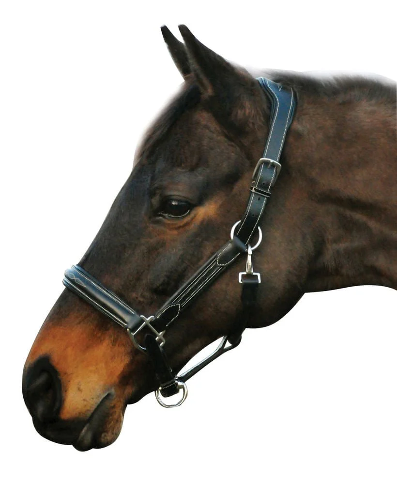 HDR Stress Free Fancy Stitch Leather Halter - Healthber
