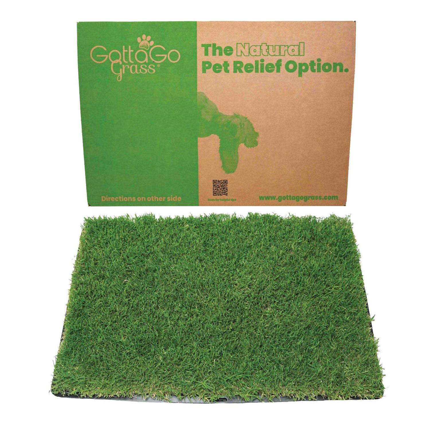 Gotta Go Grass with Tray - Healthber