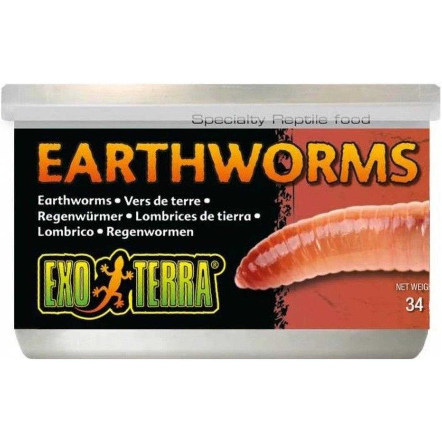 Exo Terra Canned Earthworms Specialty Reptile Food - Healthber