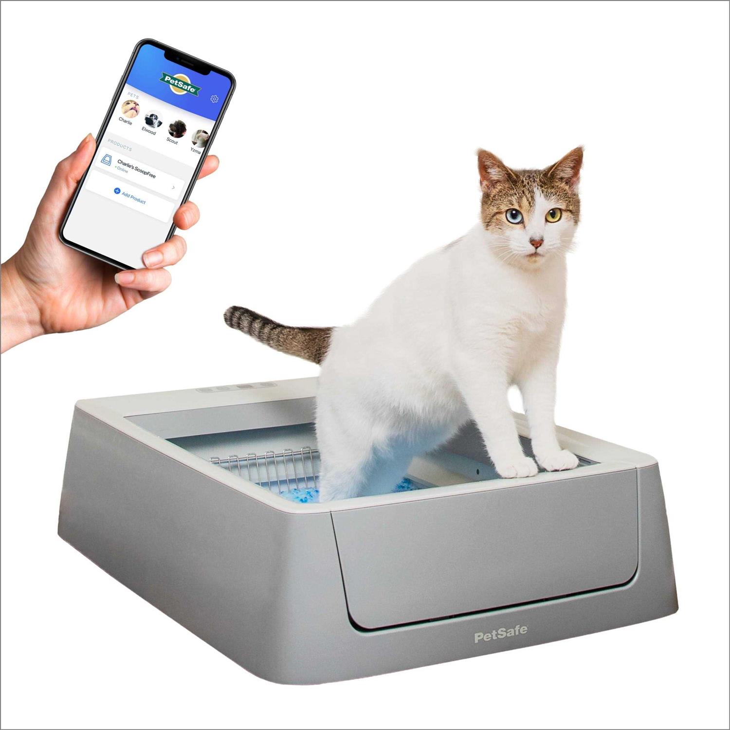 PetSafe ScoopFree Self-Cleaning Cat Litter Box - Healthber