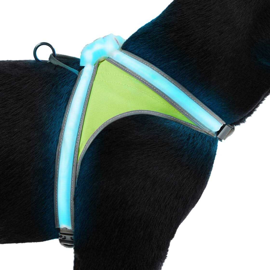 Noxgear LightHound LED Illuminated & Reflective Dog Harness - Healthber