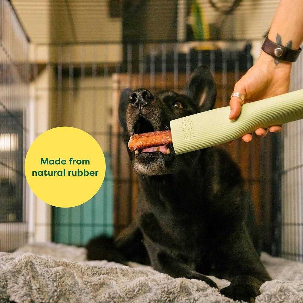 Earth Rated Rubber Chew Dog Toy - Healthber
