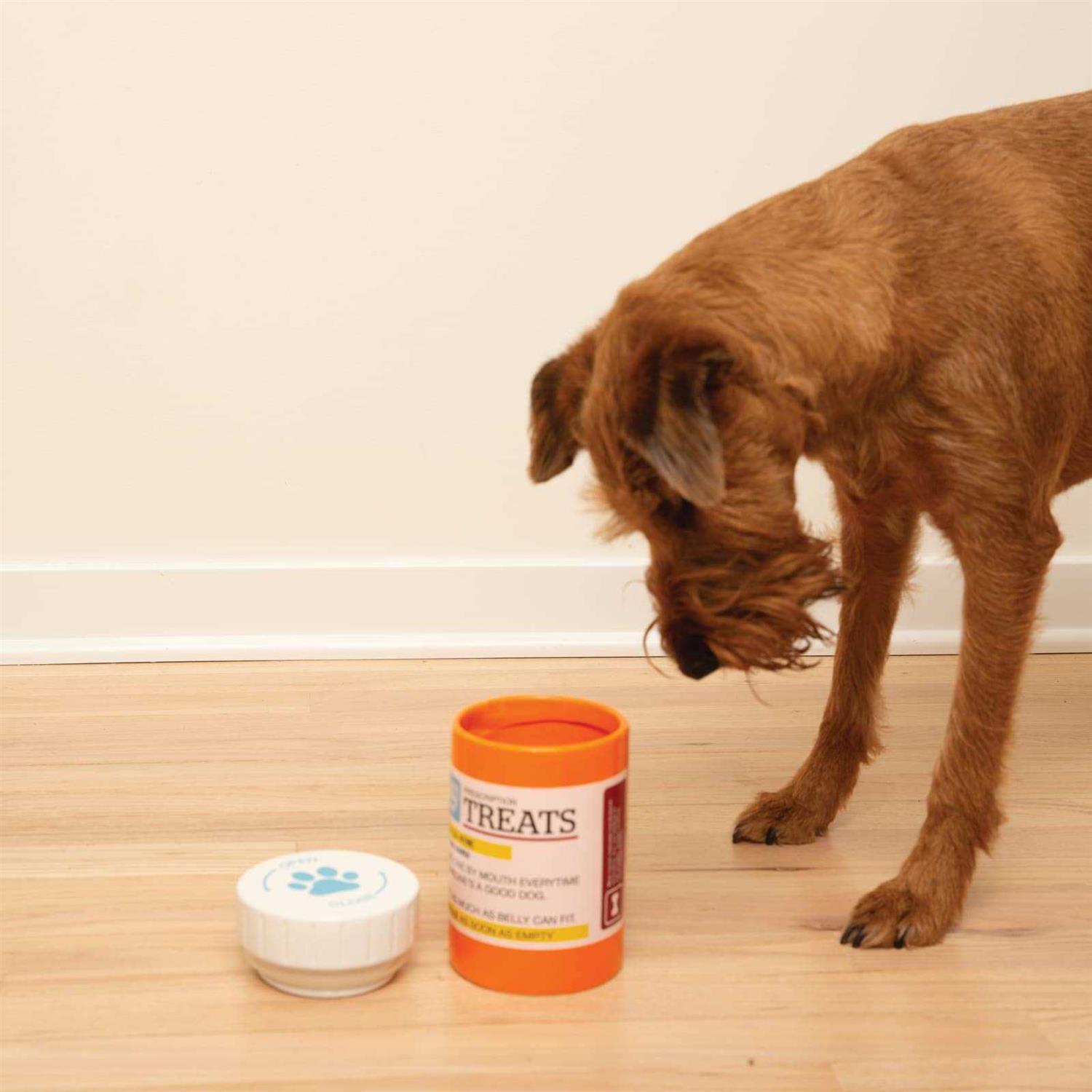 Bigmouth Inc Prescription Treat Jar - Healthber