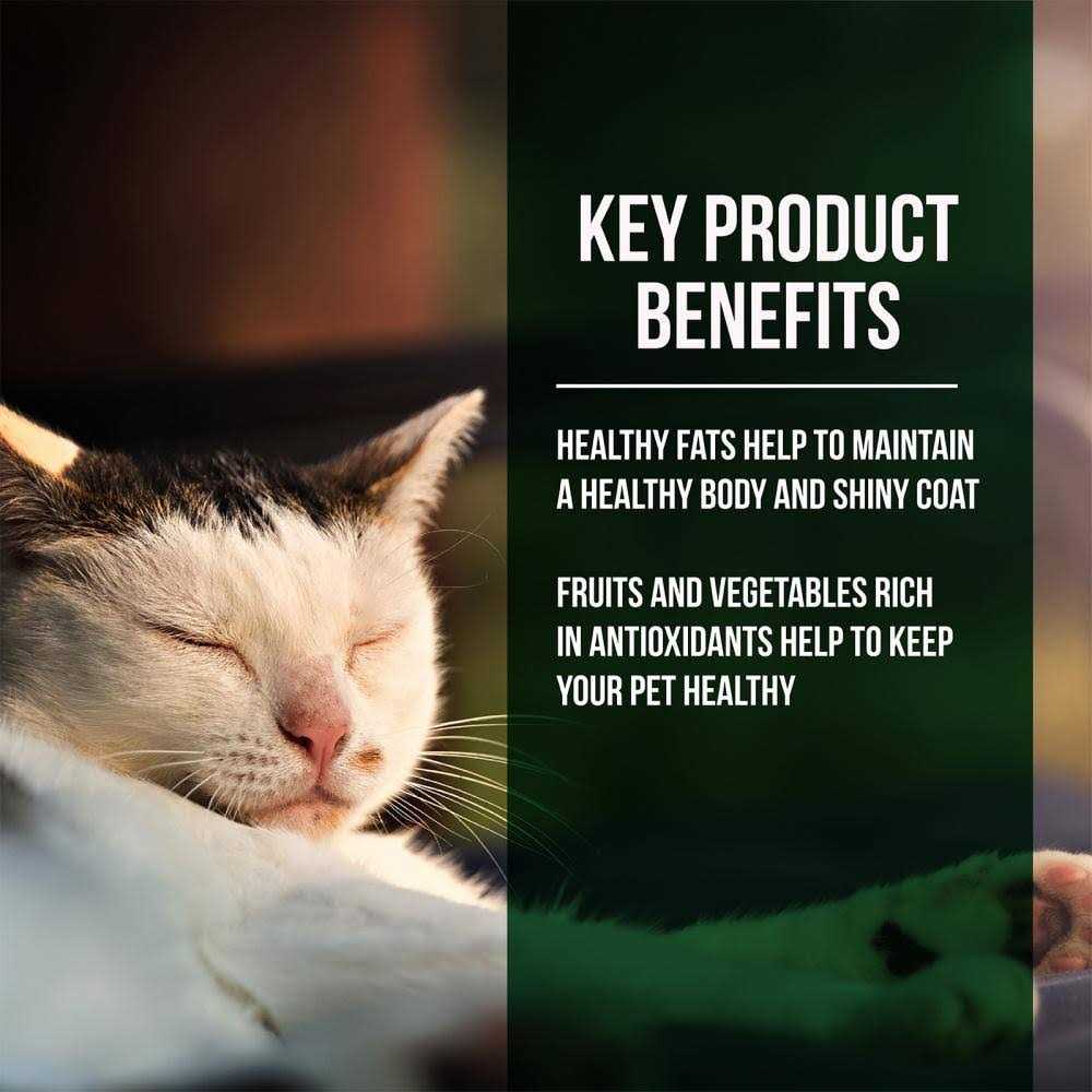 Fussie Cat Market Fresh Salmon Chicken Dry Cat Food - Healthber