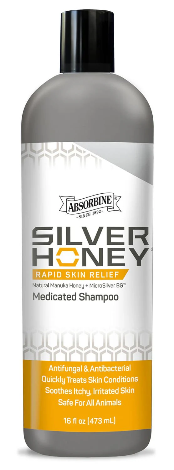 Silver Honey Rapid Skin Relief Medicated Shampoo, 16 oz - Healthber