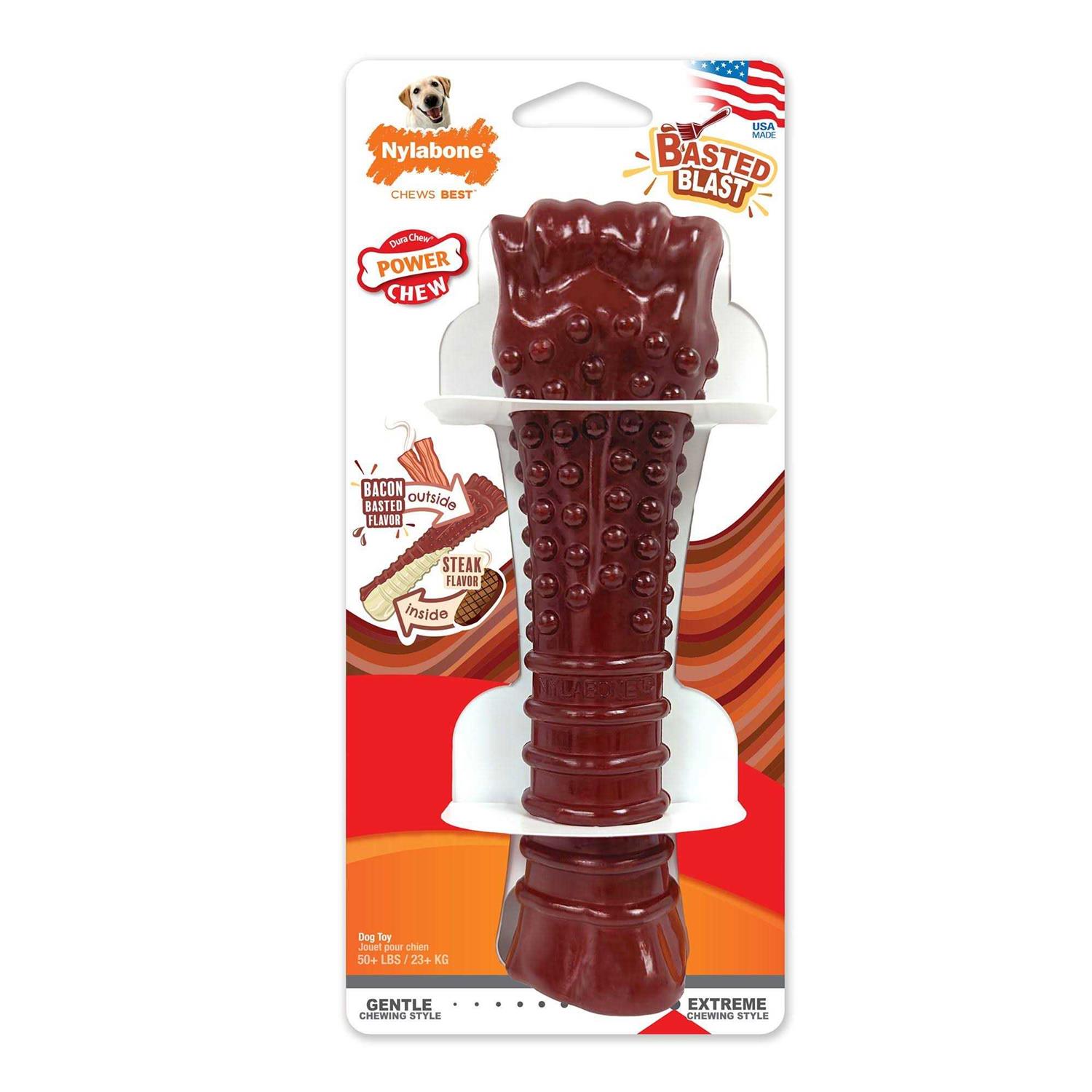 Nylabone Power Basted Blast Dual Flavored Dog Chew Toys - Healthber