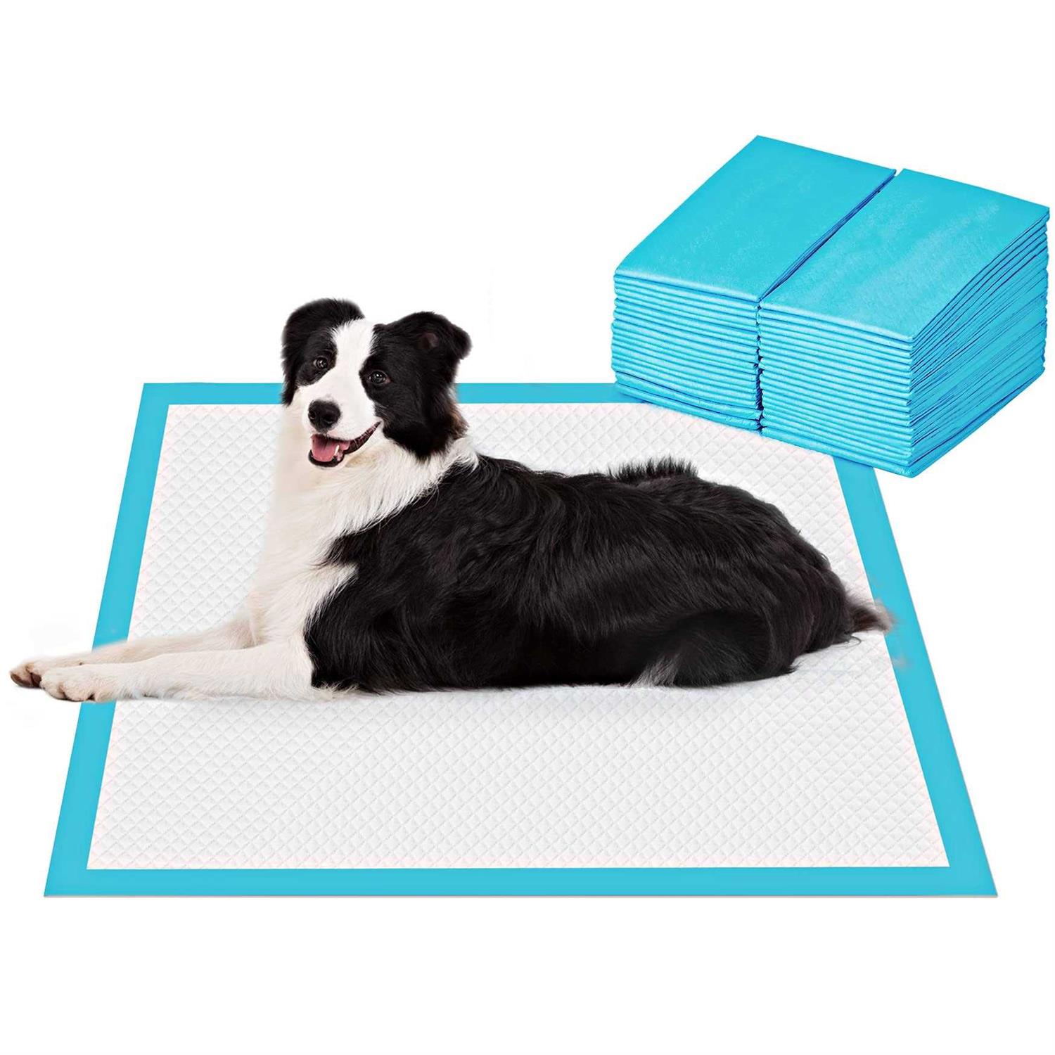 BESTLE Large Pet Training and Puppy Pads Pee Pads for Dogs Super Absorbent & Leak-Proof - Healthber