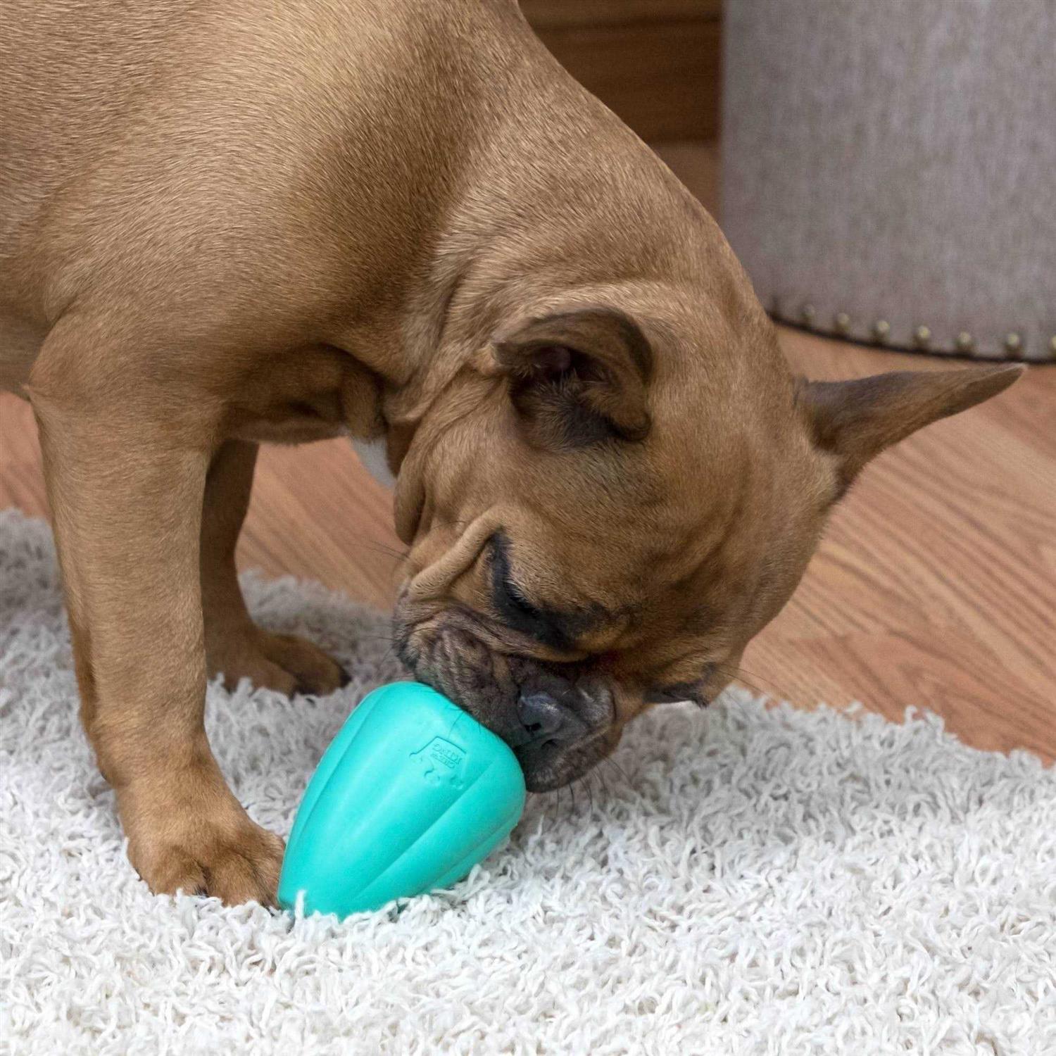 Chew King Premium Treat Dog Toy - Healthber
