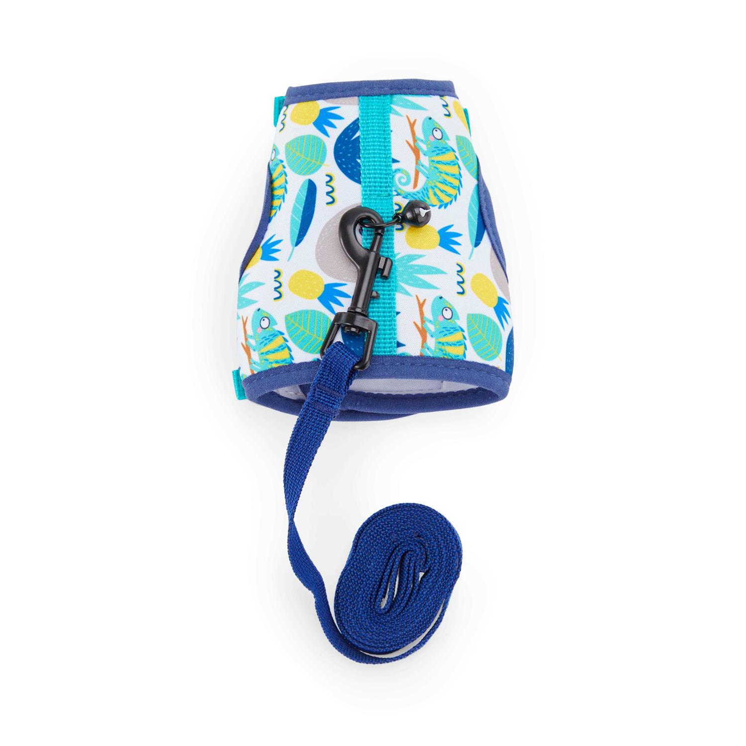EveryYay Wear With Flair Ferret Harness and Leash - Healthber