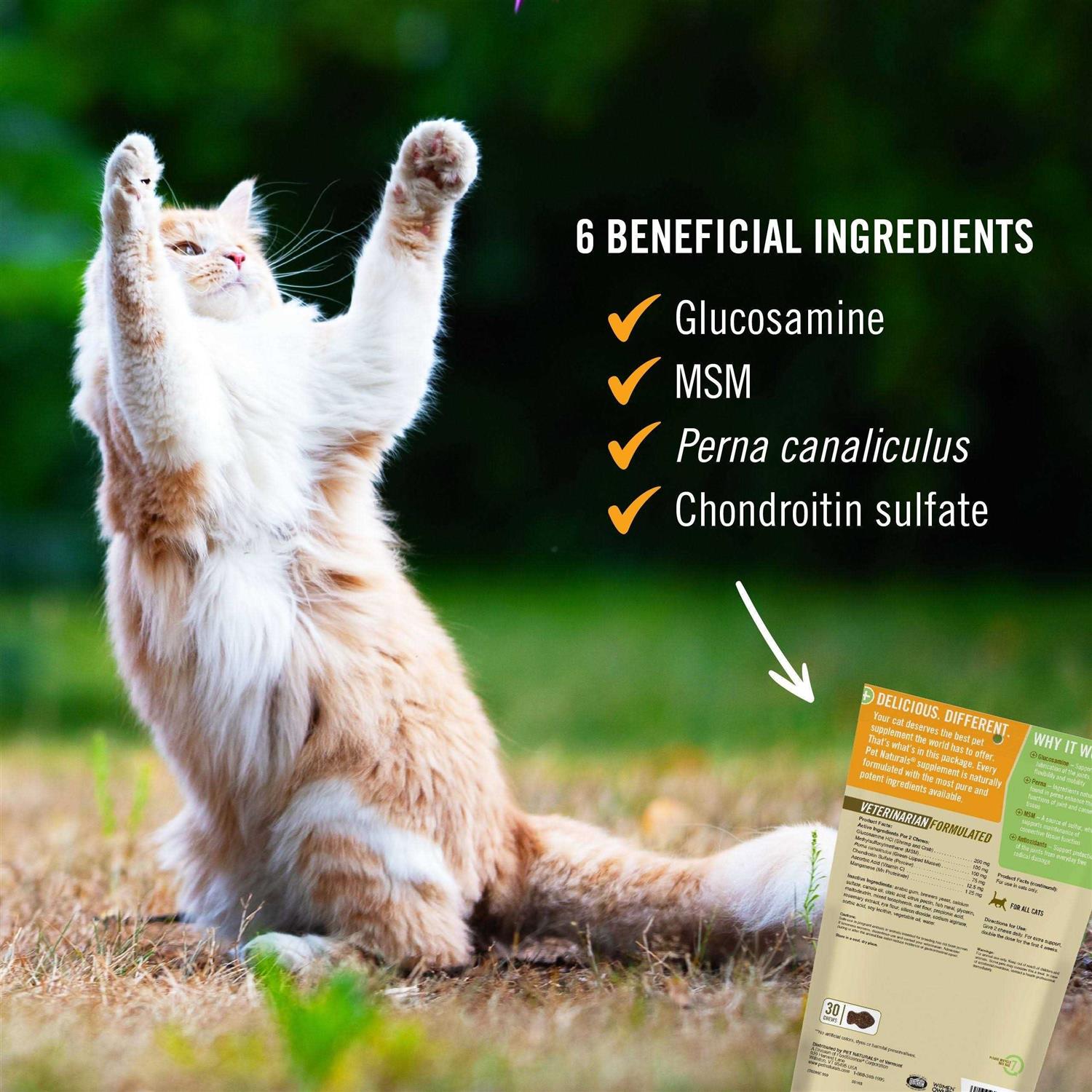 Pet Naturals of Vermont Hip + Joint for Cats - Healthber