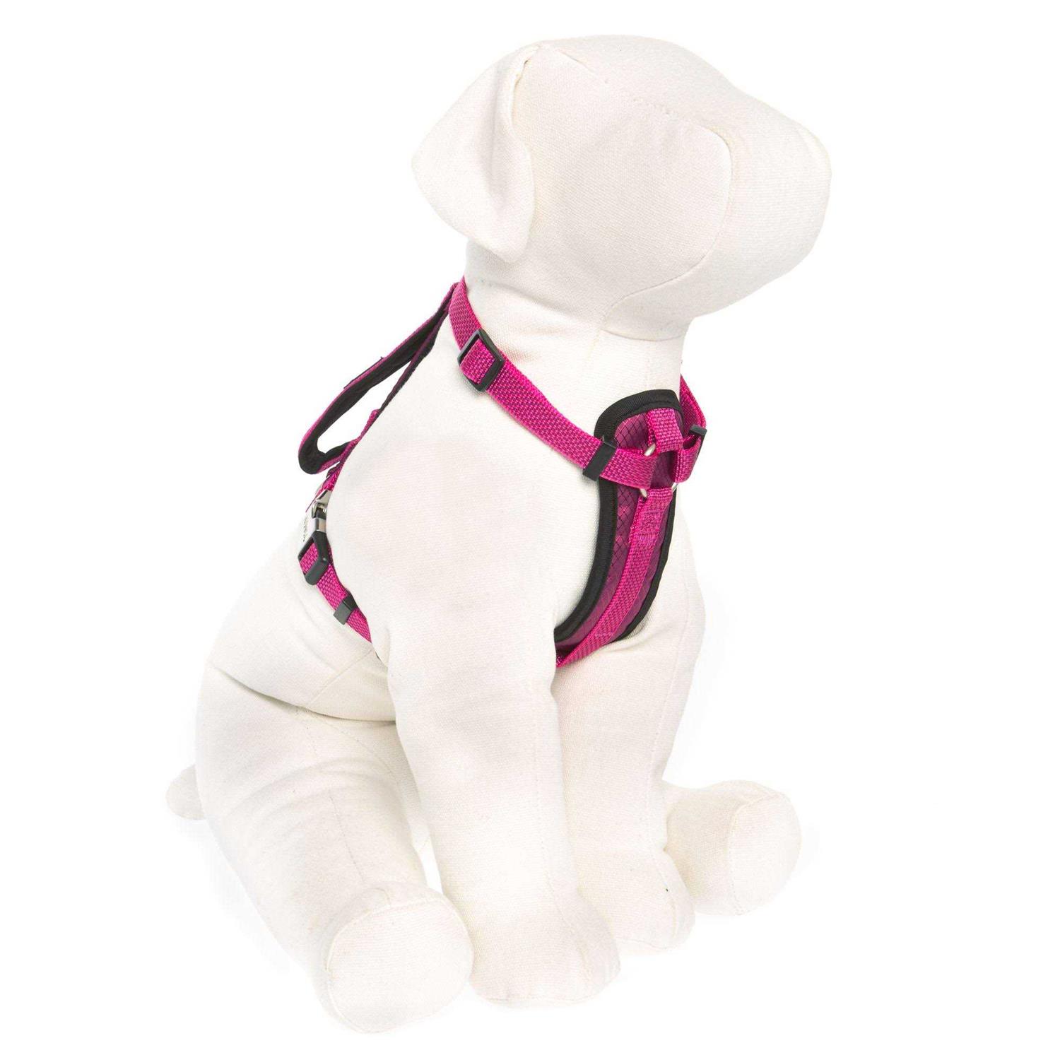 Kong Comfort Padded Chest Plate Dog Harness - Healthber
