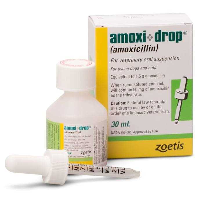 Amoxi Drop Oral Suspension 30ML - Healthber