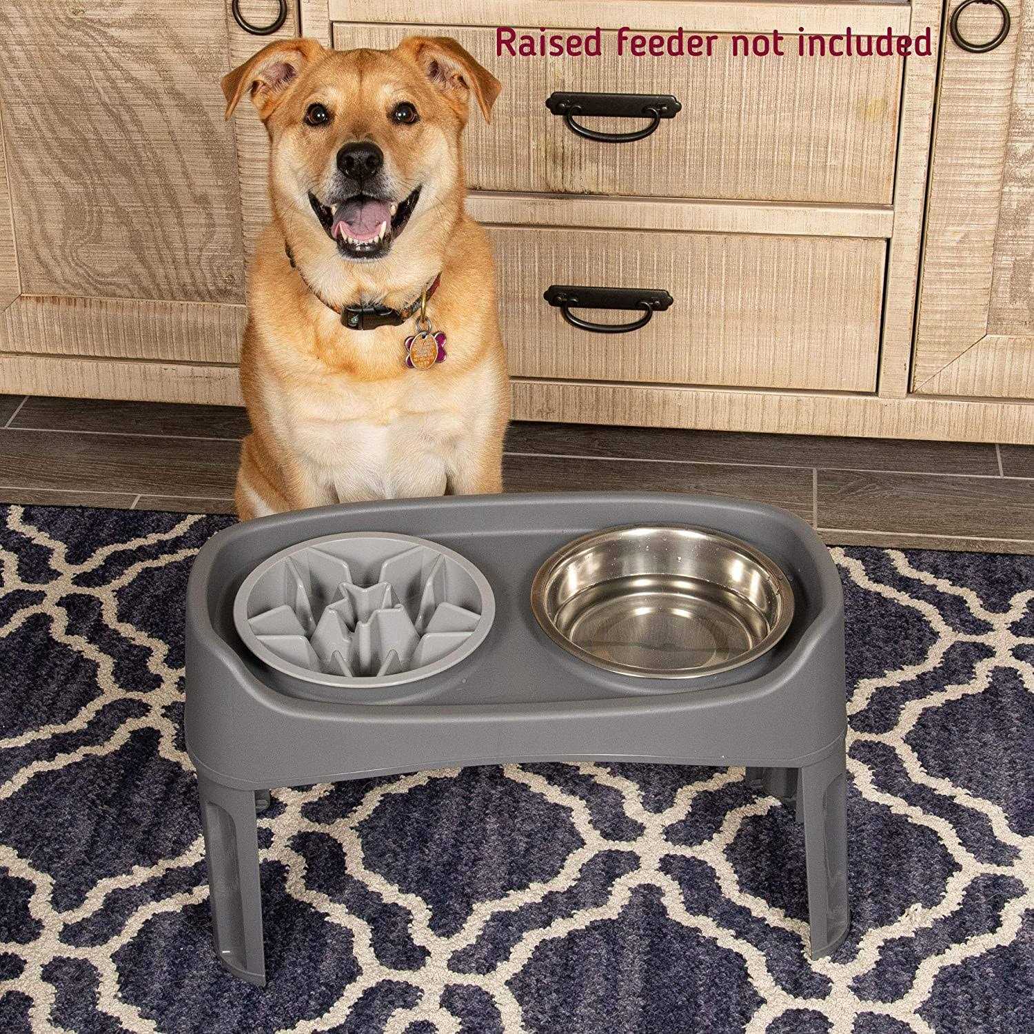 Leashboss Slow Feeder Dog Bowls Cup Maze Puzzle Food Bowl with Feeder Holes - Healthber