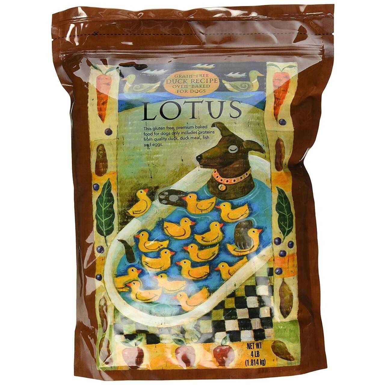 Lotus Duck Recipe Grain Free Dry Dog Food - Healthber