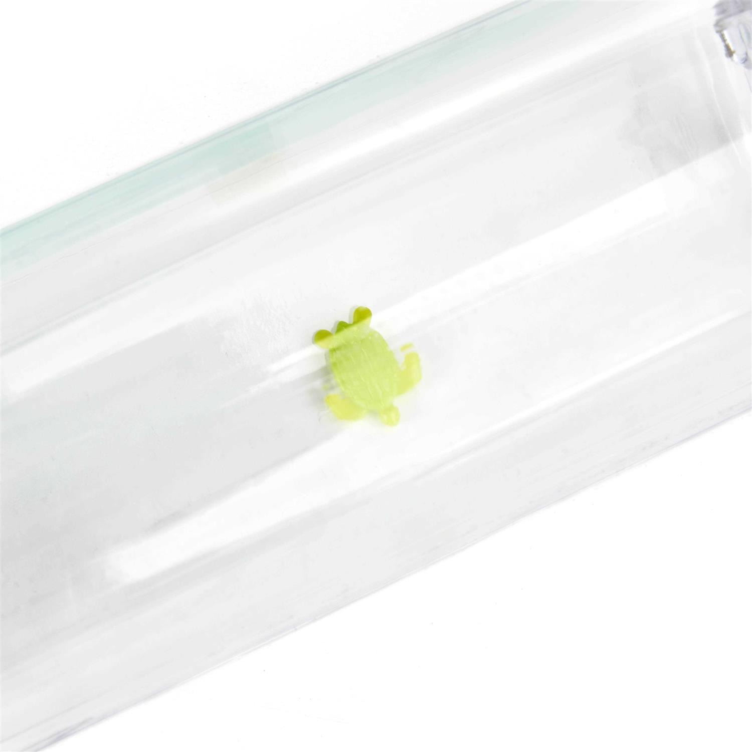 EveryYay Wet Your Whistle Assorted Small Pets Water Bottle - Healthber