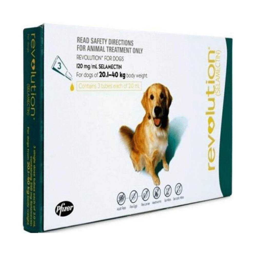 Revolution Teal 6 Pack - Healthber