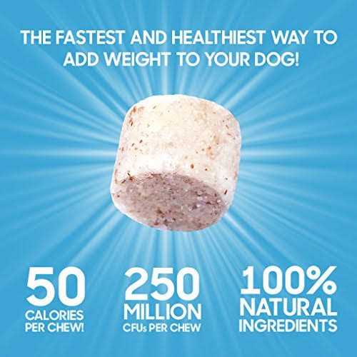 Bully Max Power Chews for Weight Gain - Healthber