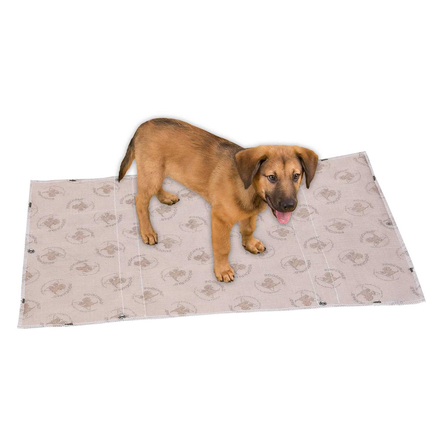 PoochPad Interlocking Reusable Potty Pads - Healthber