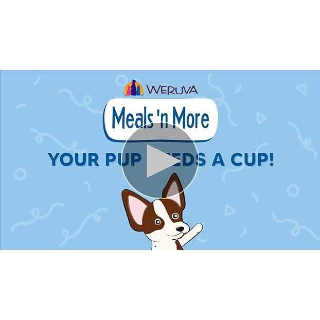 Weruva Dog Meals ‘n More Belly Belly Nice! Variety Pack - Healthber