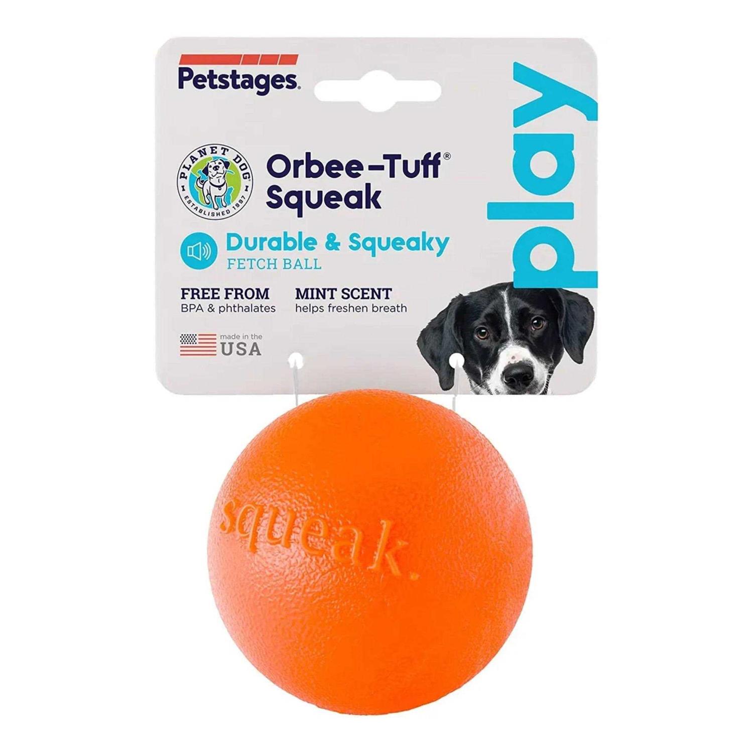 Planet Dog Orbee-Tuff Squeak Toy Ball - Healthber