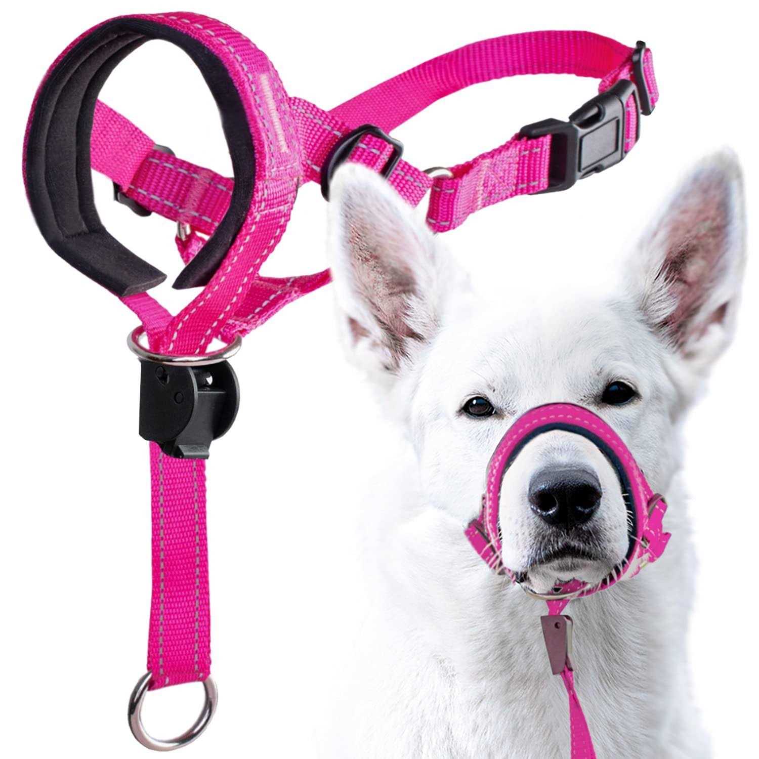 GoodBoy Dog Head Halter with Safety Strap Stops Heavy Pulling On The Leash - Healthber