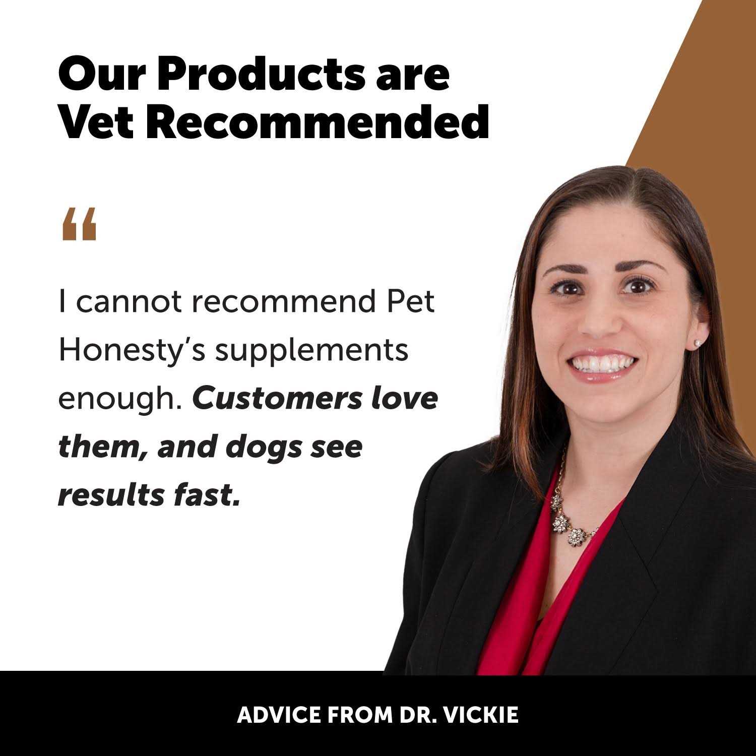 Pet Honesty Flea & Tick Support Supplement Soft Chews for Dogs - Healthber