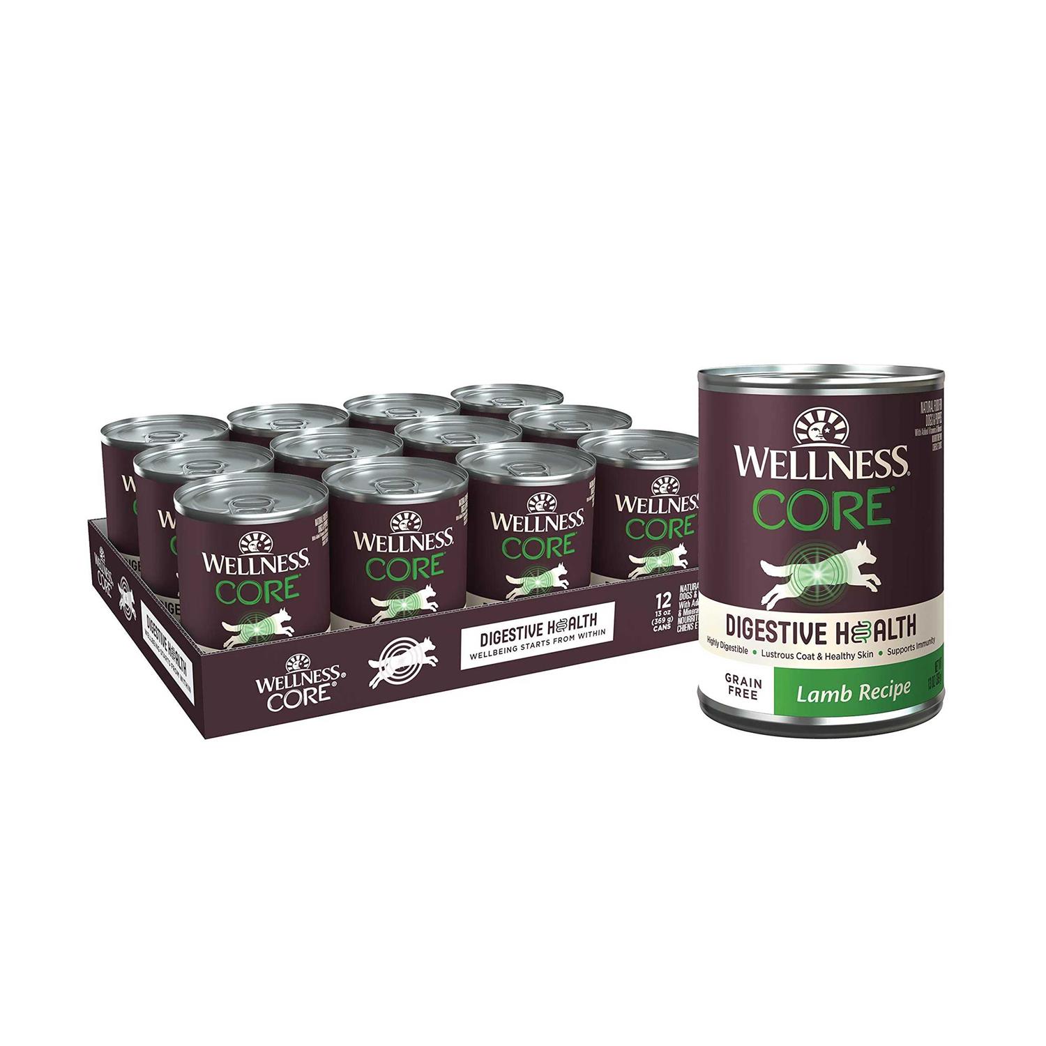 Wellness Core Digestive Health Beef Grain Free Wet Dog Food - Healthber