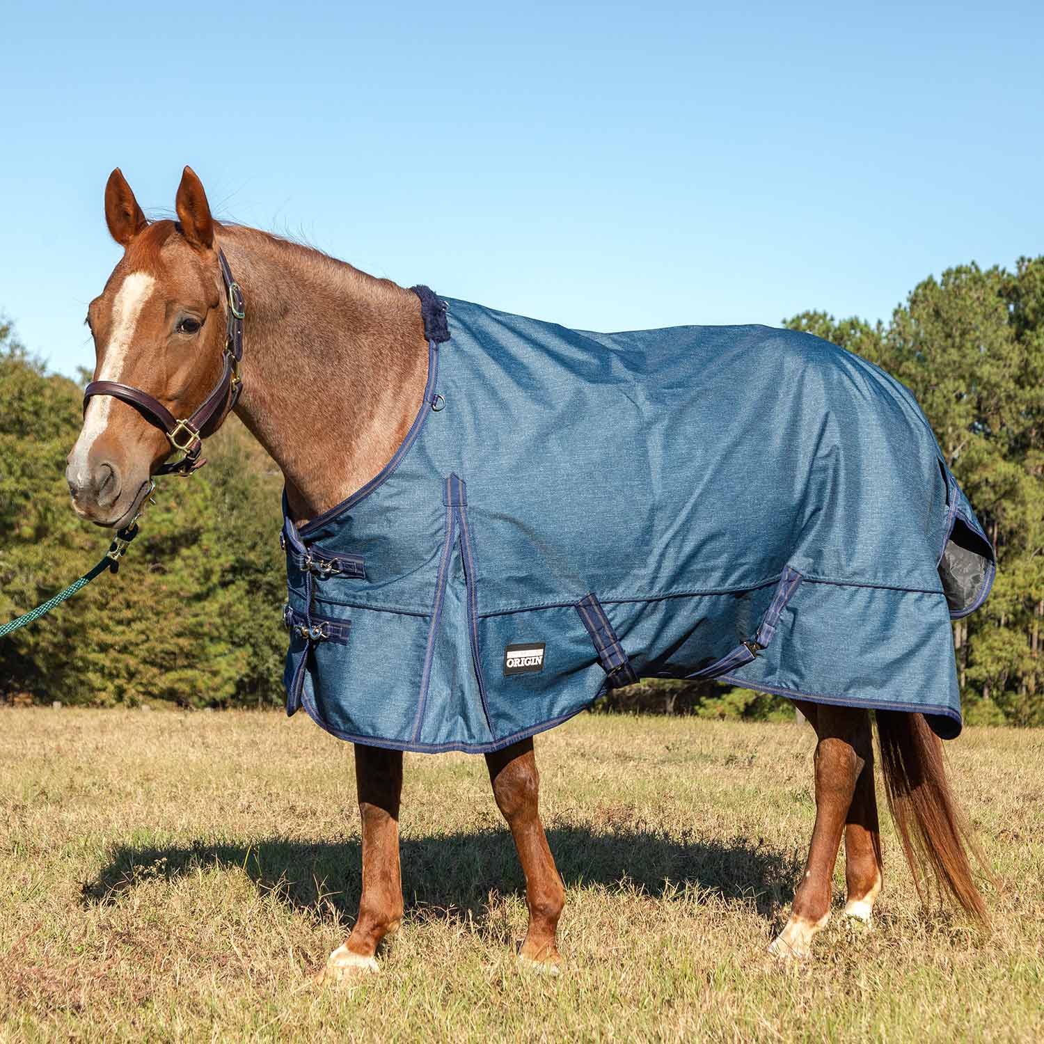 Poplar Head Origin 600 Denier Turnout Sheet, 0 Gram, Blue Jean Baby - Healthber