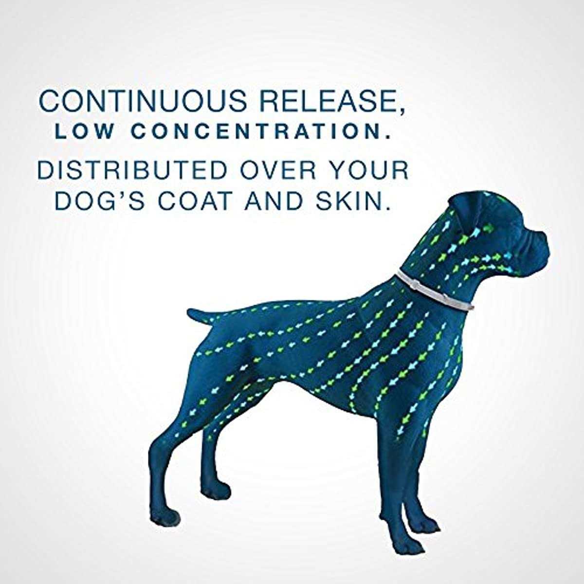 Bayer Seresto Flea and Tick Collar for Dogs - Healthber