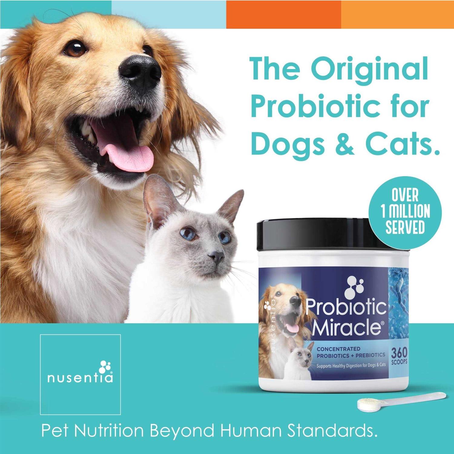 Nusentia Probiotic Miracle Probiotics for Dogs - Healthber