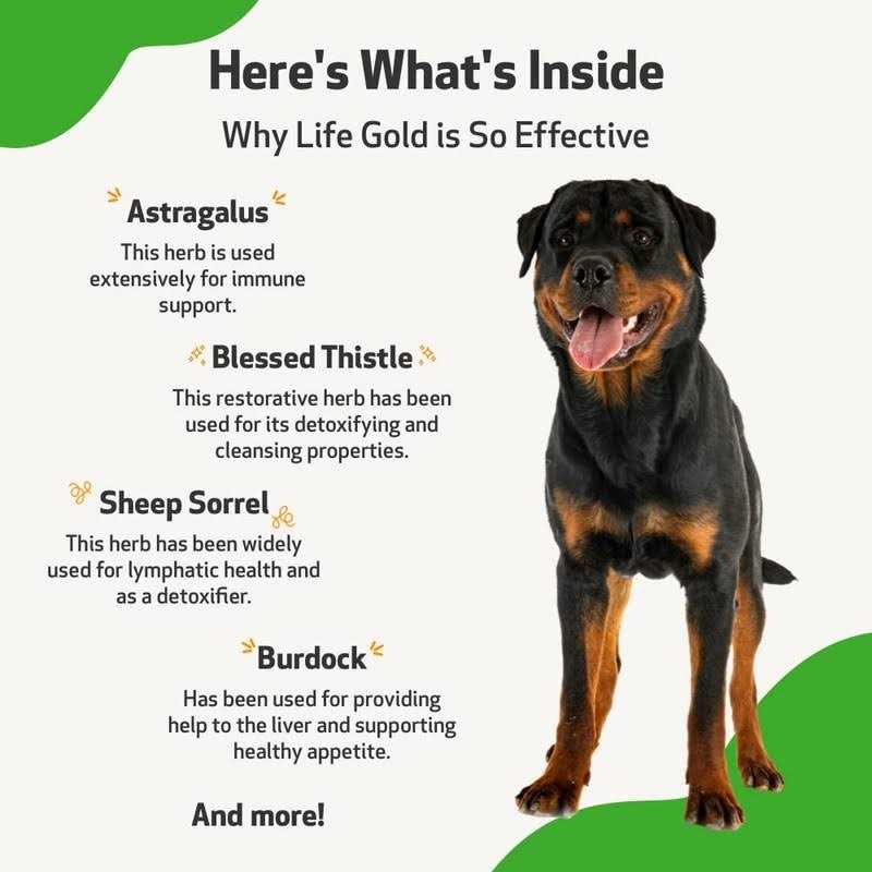 Pet Wellbeing Life Gold for Dogs - Healthber
