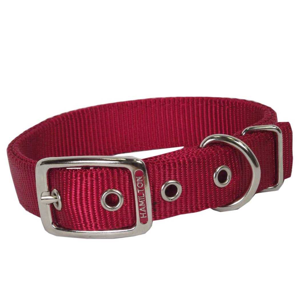 Hamilton Thick Nylon Dog Collar - Healthber