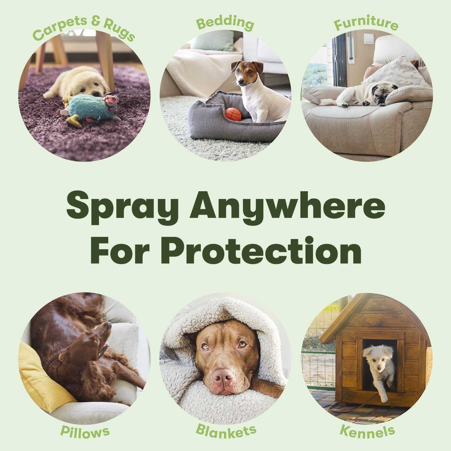 Bugmd Flea and Tick Concentrate Essential Oil-Powered Formula, Controls Fleas, Ticks, Mites in Dogs, Cats, and Other Furred - Healthber