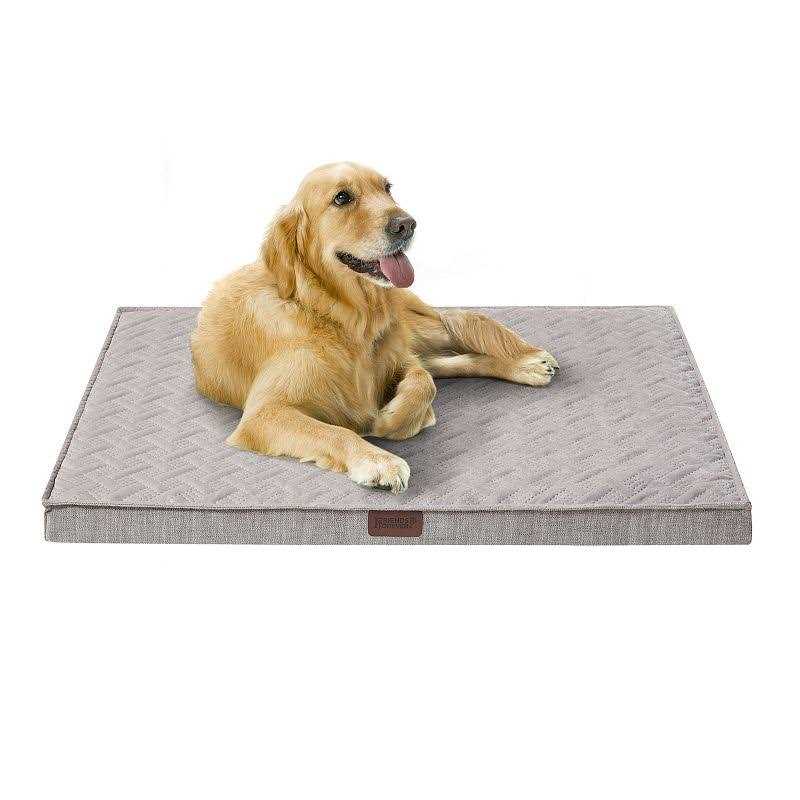 Friends Forever Orthopedic Dog Bed - Healthber