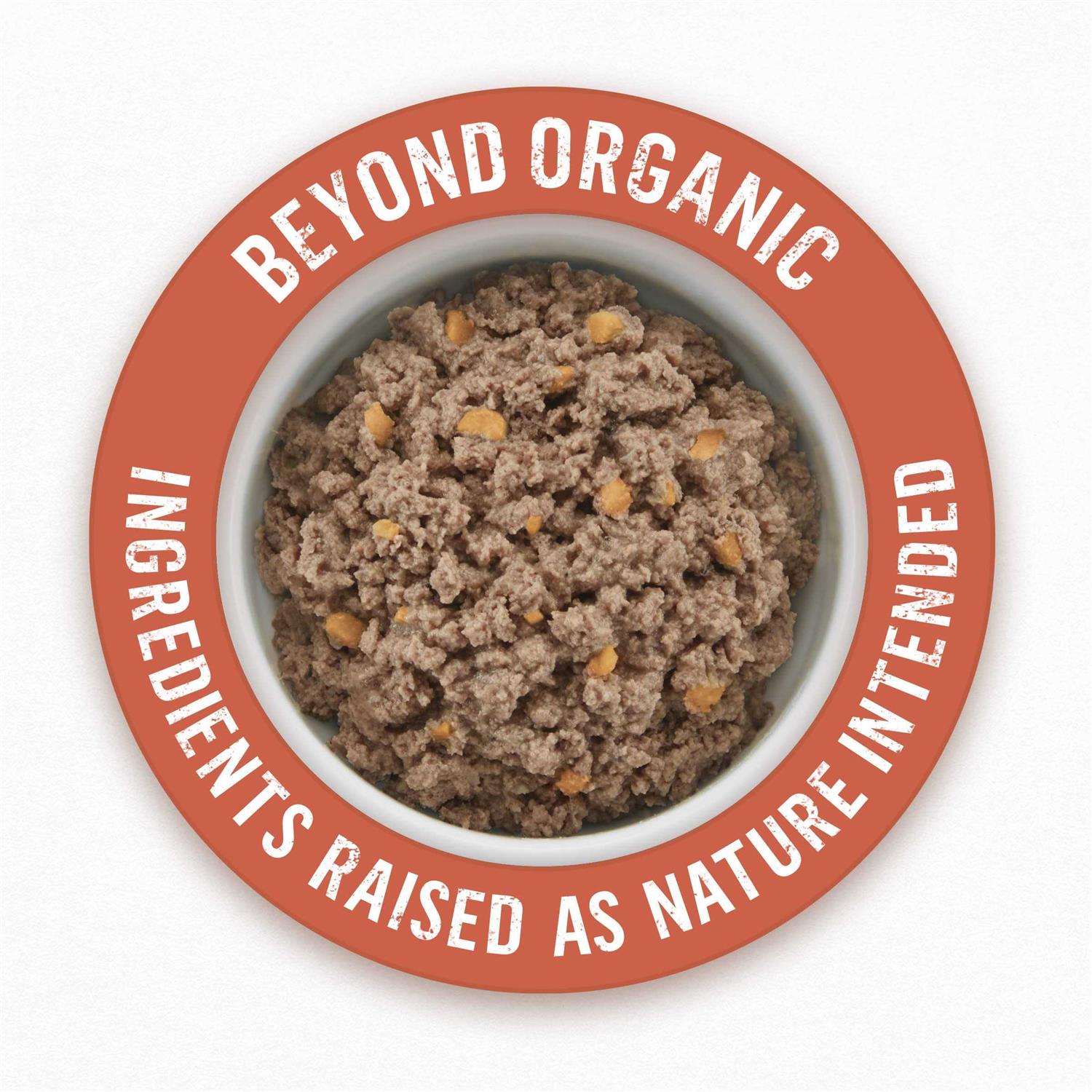 Purina Beyond Organic Chicken Recipe Wet Dog Food - Healthber